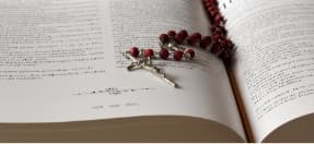 Cover image of St. Ambrose community Cover image of St. Ambrose community